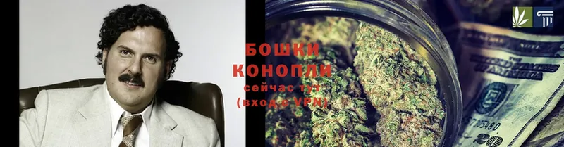 Канабис SATIVA & INDICA  Высоцк 